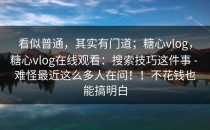 看似普通，其实有门道；糖心vlog，糖心vlog在线观看：搜索技巧这件事 - 难怪最近这么多人在问！！不花钱也能搞明白