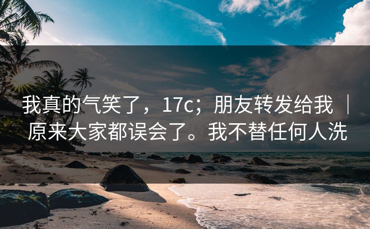 我真的气笑了，17c；朋友转发给我 ｜ 原来大家都误会了。我不替任何人洗